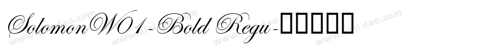 SolomonW01-Bold Regu字体转换